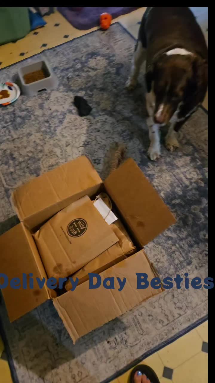 @Bugsy Oliver and his mama Lee