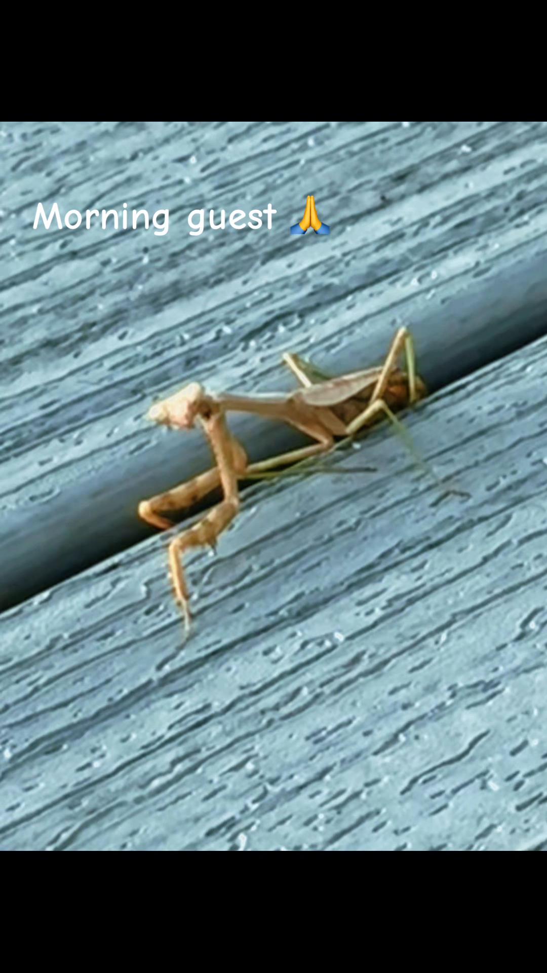 @DaniG757