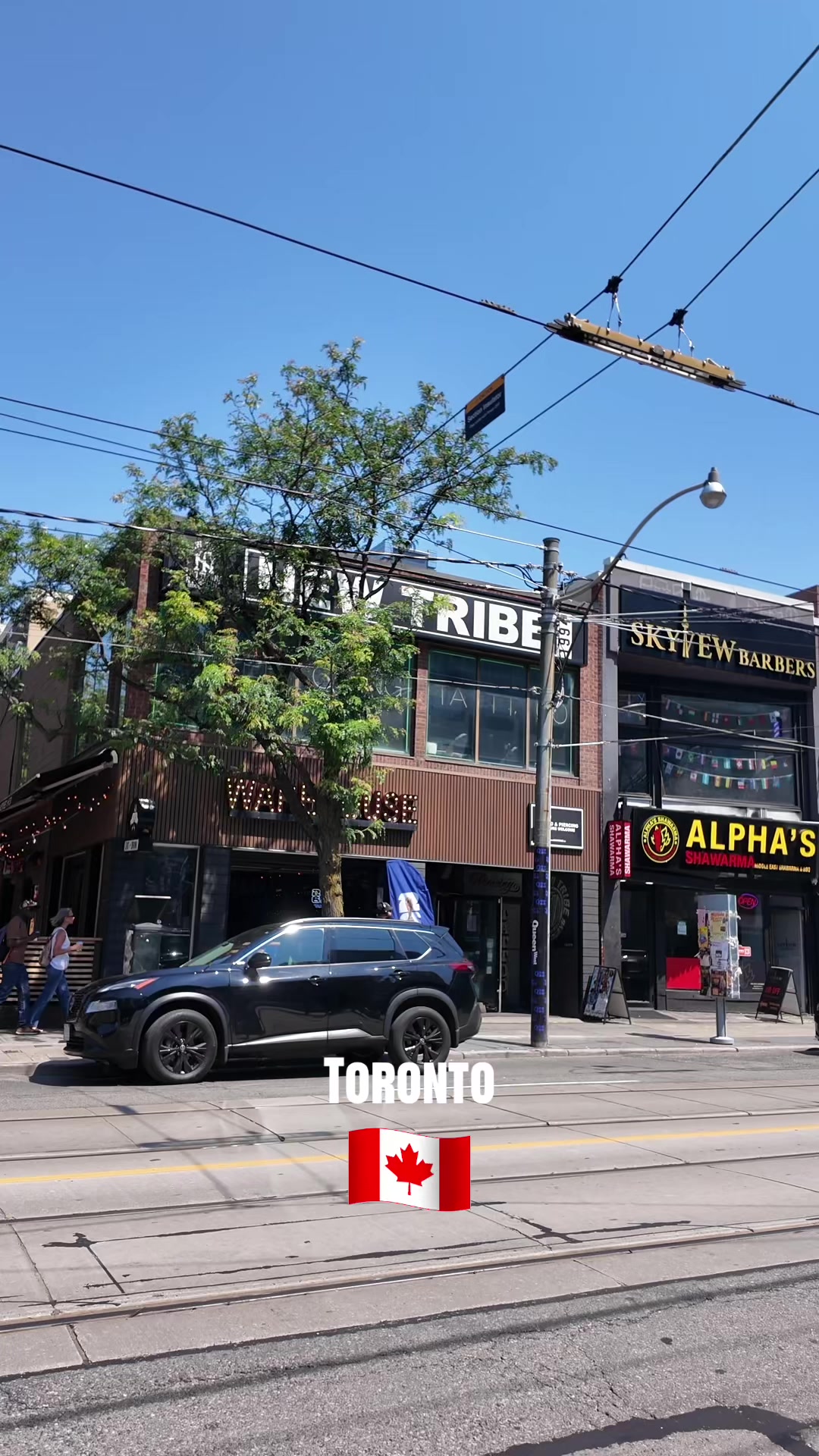 @Toronto Vibe🇨🇦