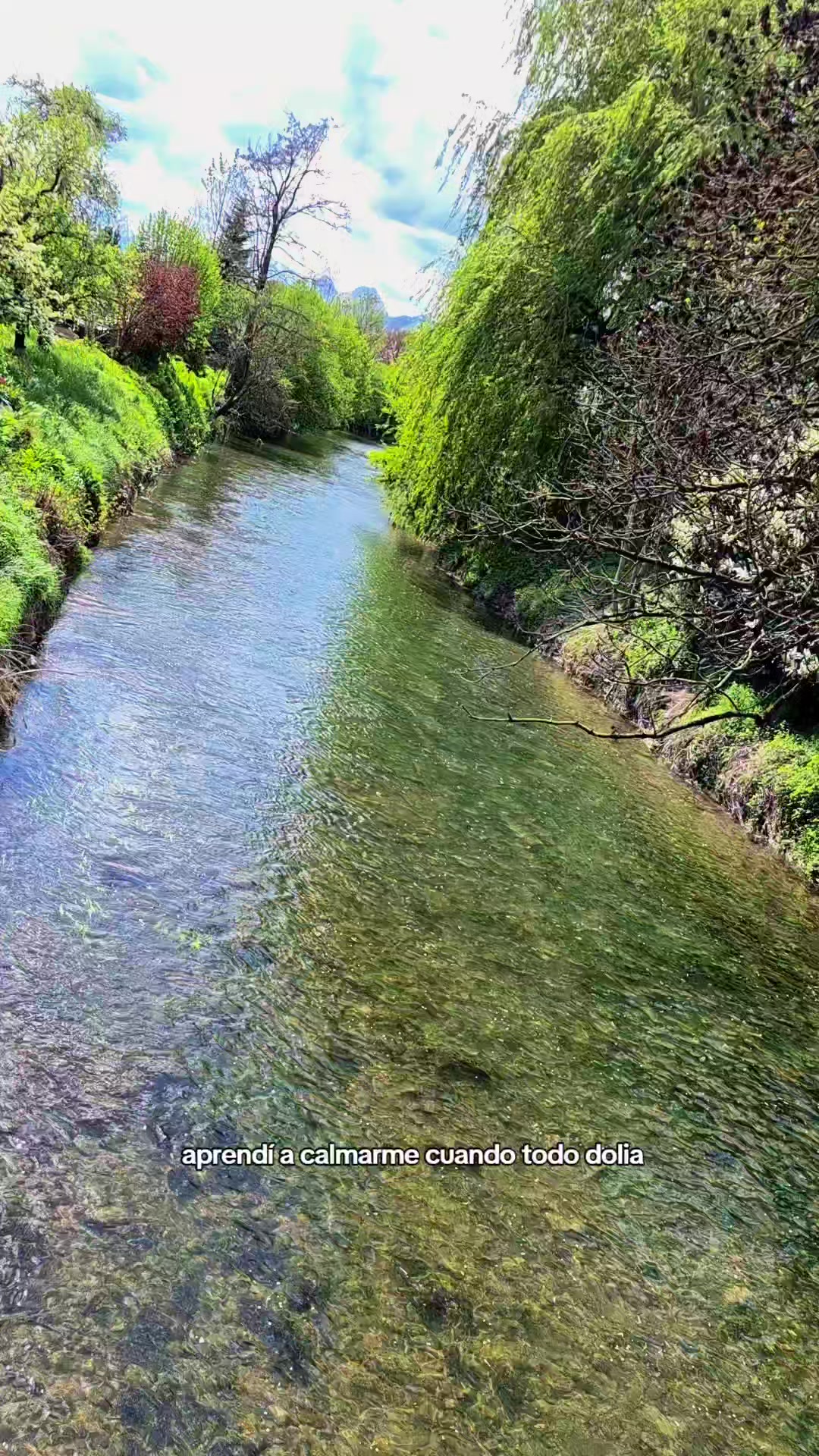 @Brigithe ✨️