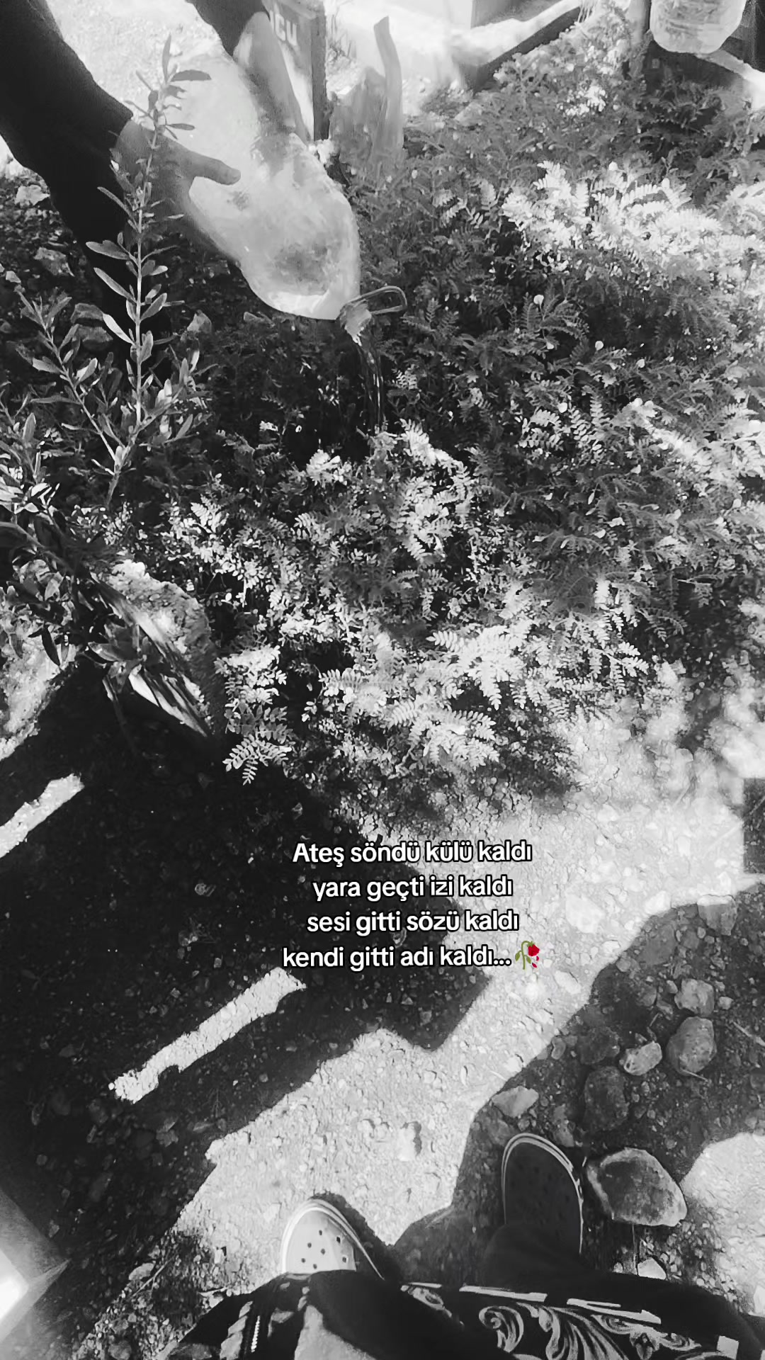 @𝓑𝓾𝓴𝓮𝓽 𝓚𝓮𝓵𝓮𝓼̧