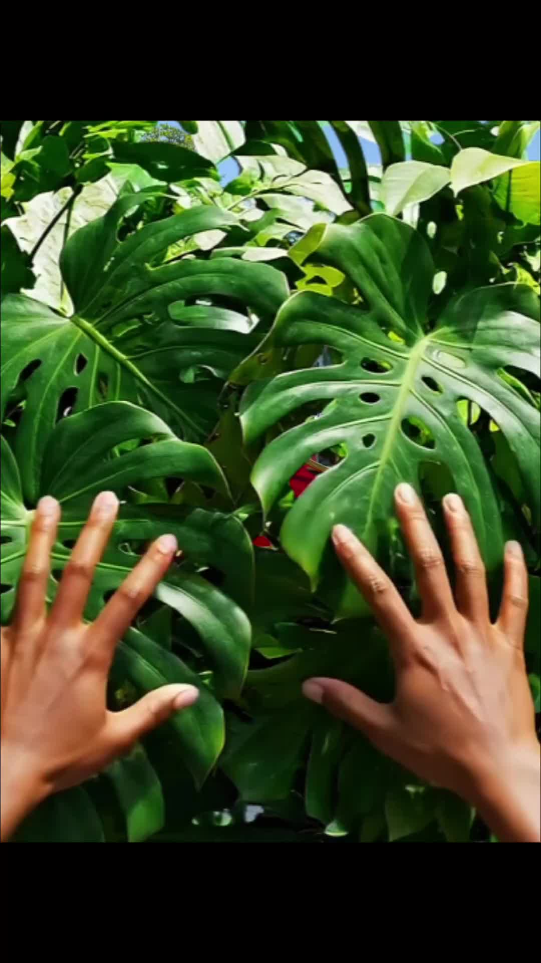 @Hạnh Kẹ