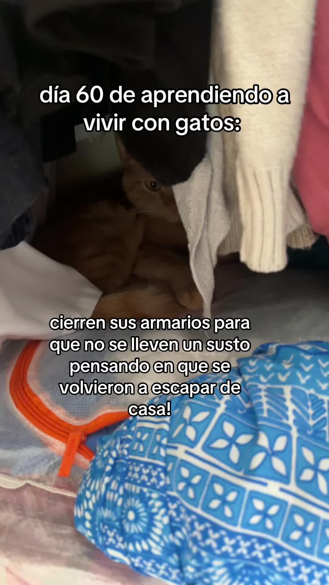 @carolina.vidareal