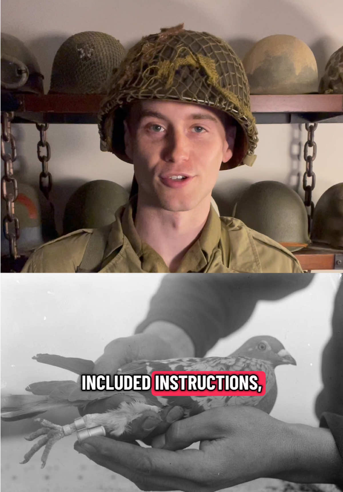@World War Wisdom