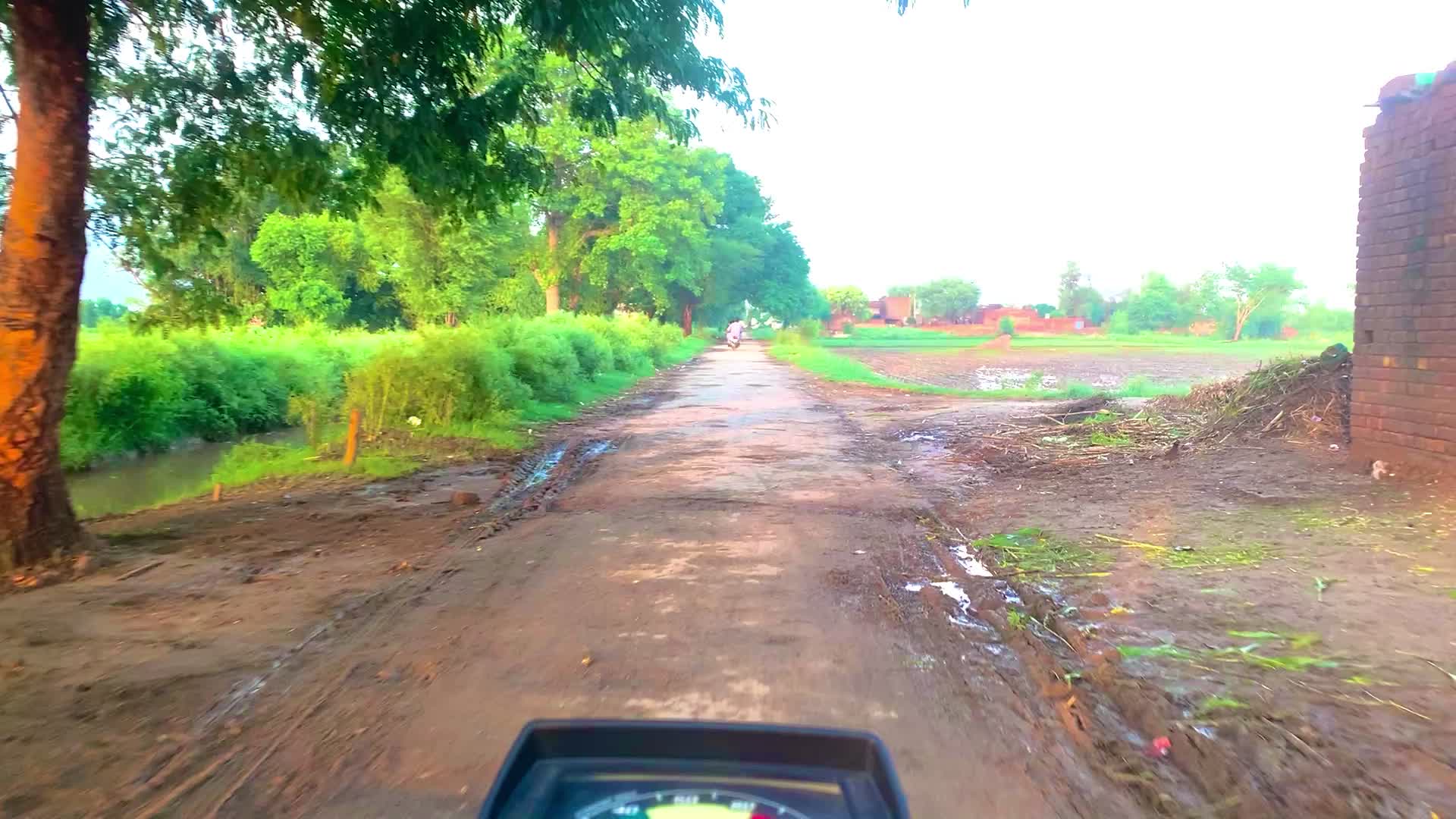 @میراپنجاب🌾🌞🌳