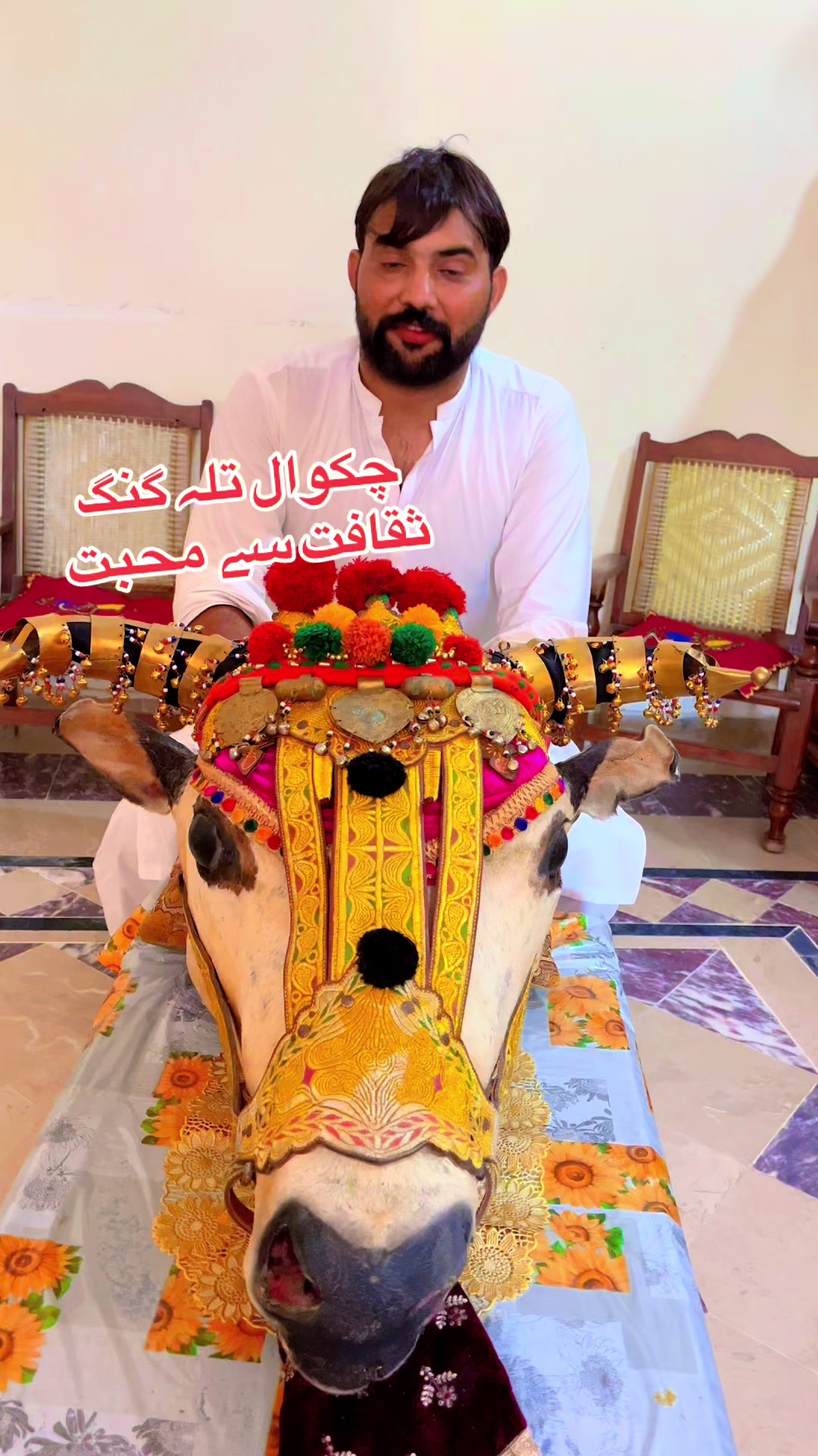 @💕Chaudhary Punjab da💕