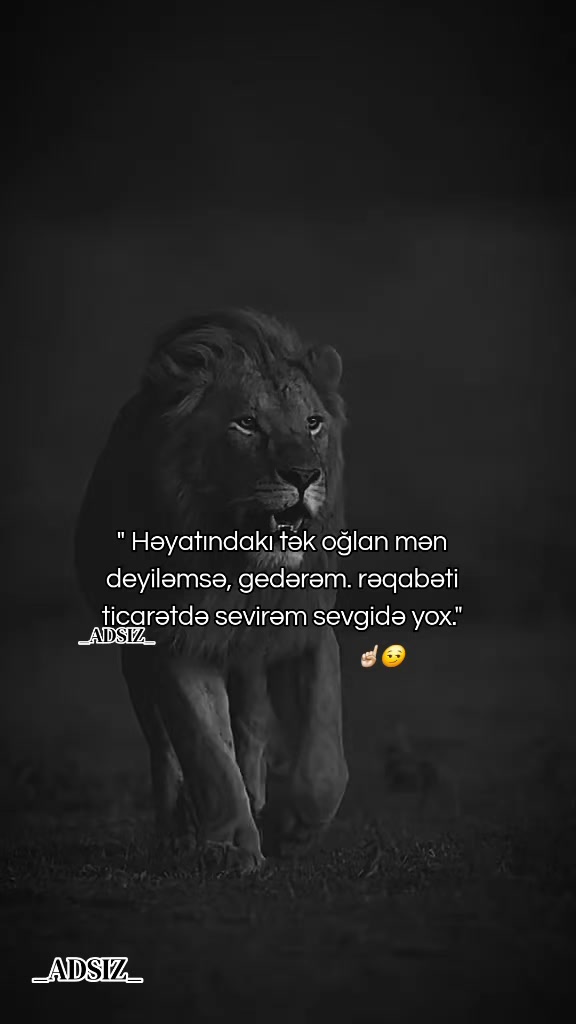 @_ADSIZ_