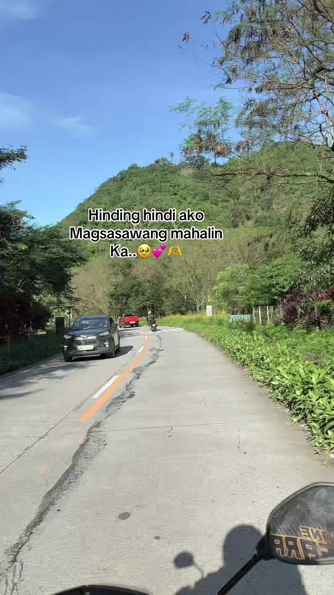 @MS.LOVE