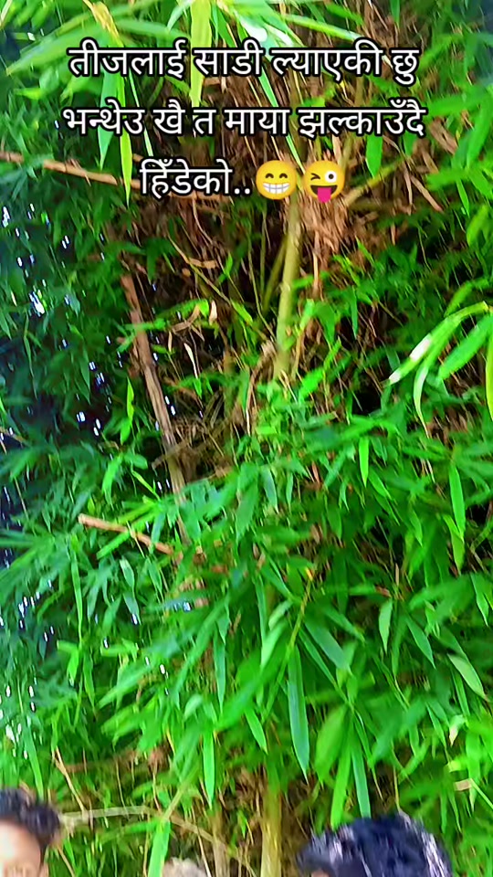 @गाउँले कान्छो✅🛖