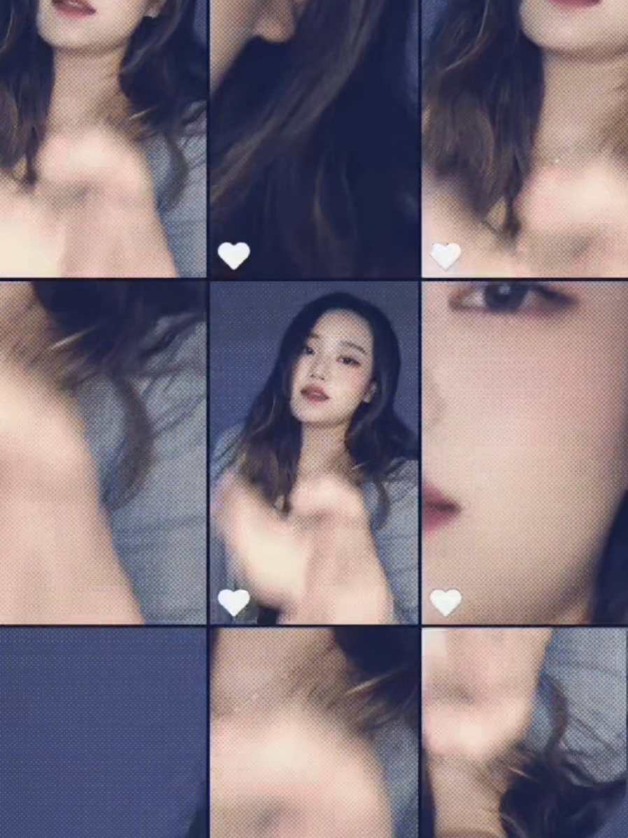 @🐼판고🐱