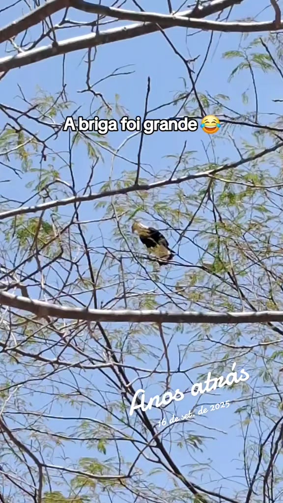 @Amante da natureza