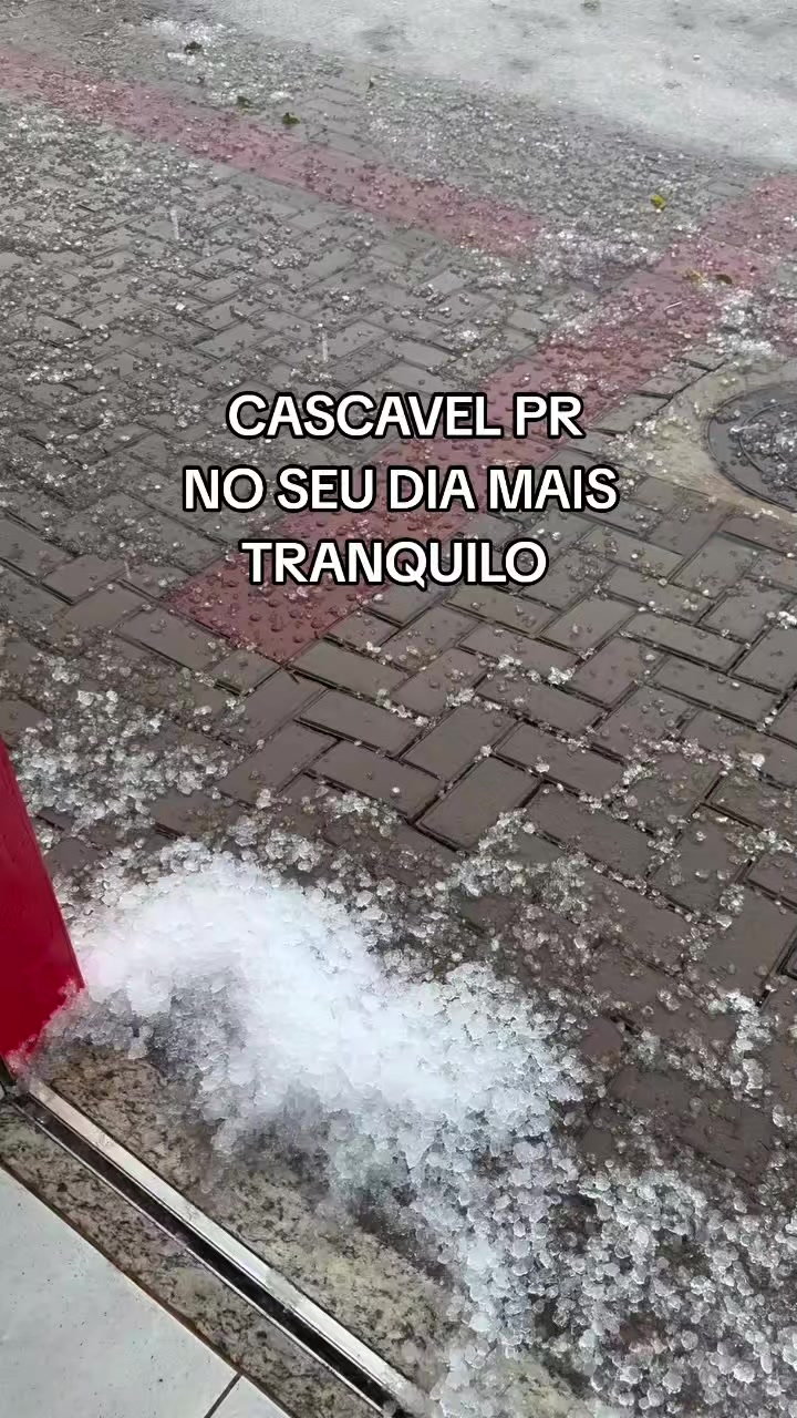 @00 de Cascavel 🐍