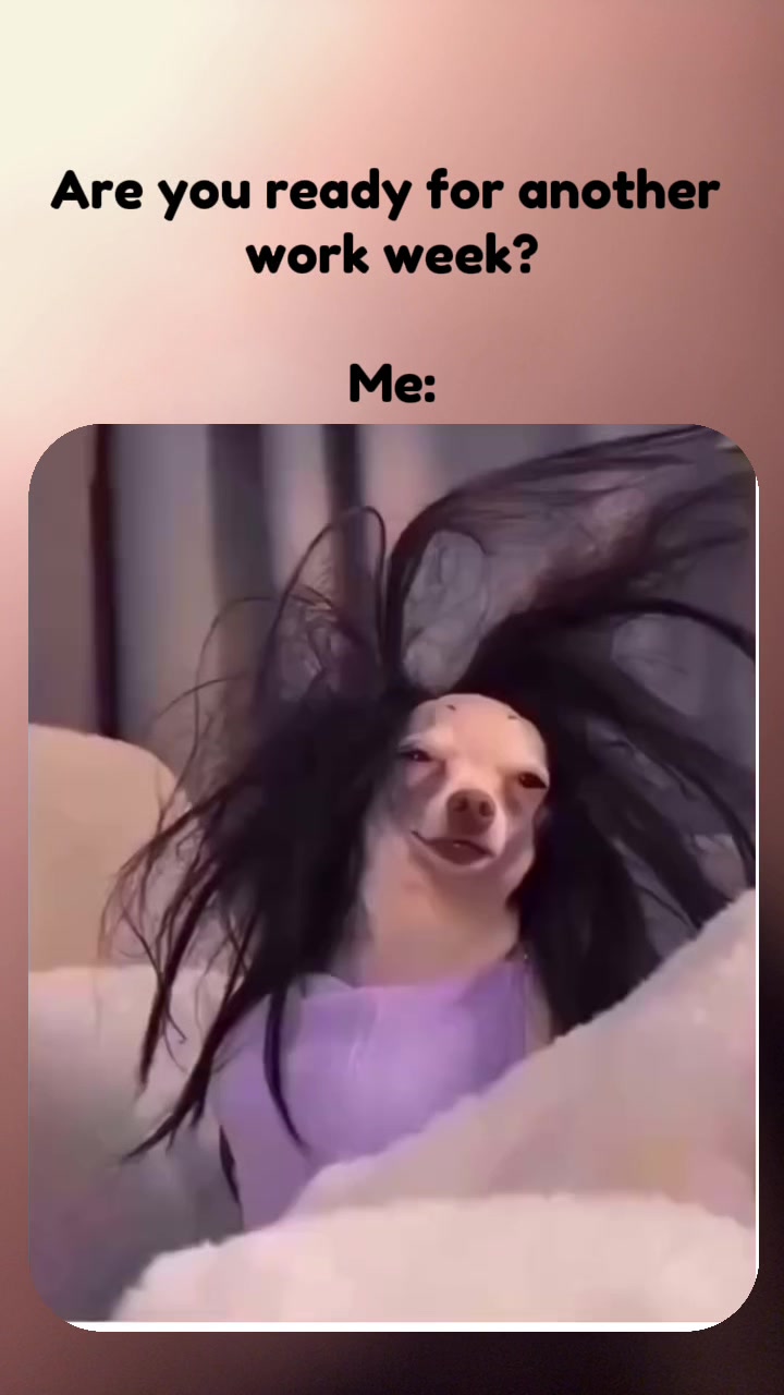 @🫶🏼𝕂𝕚𝕂𝕚🫶🏼