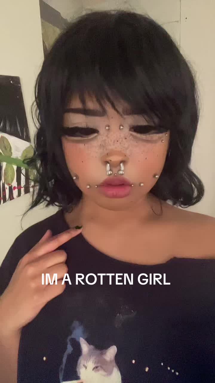 @🐾 Ché