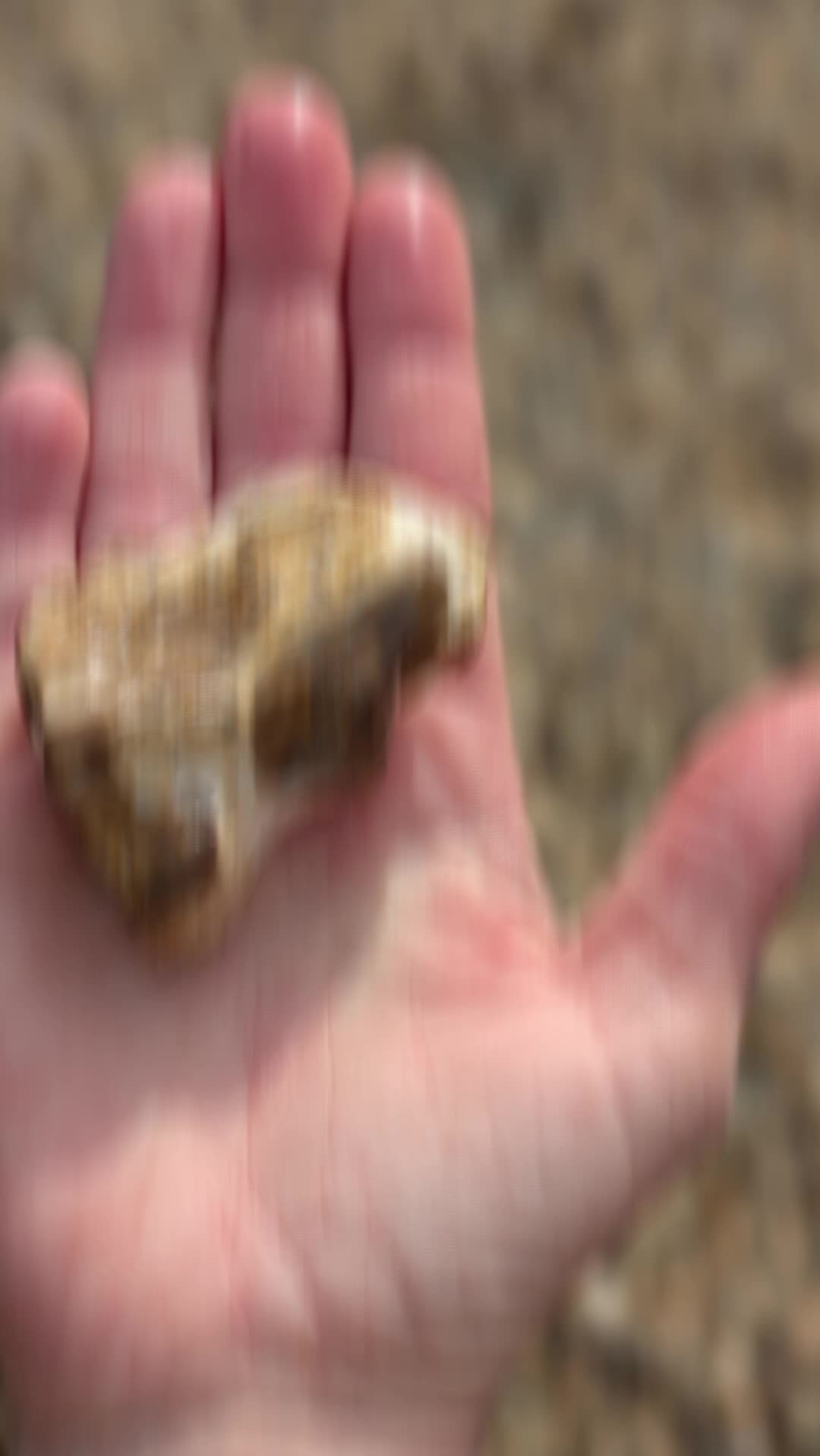 @LazyAsCorn