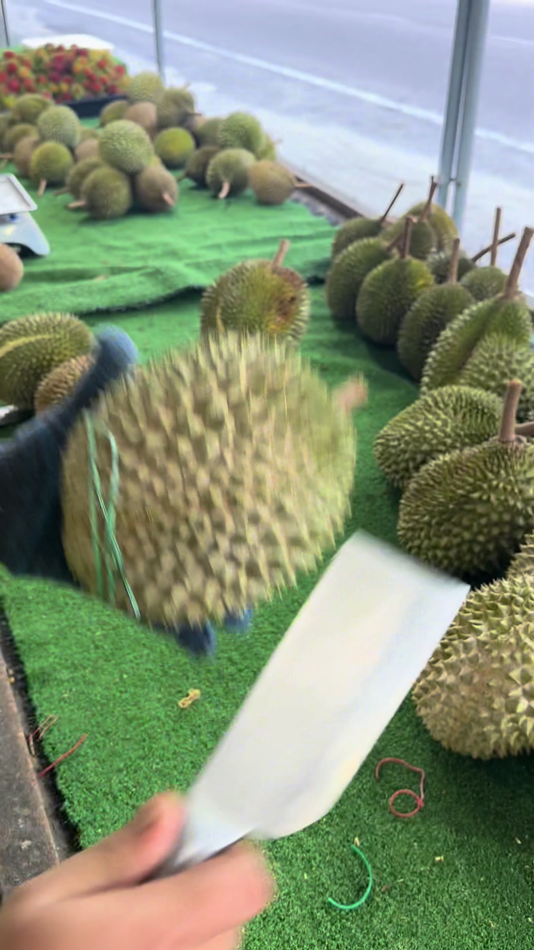 @Durian Batu 6