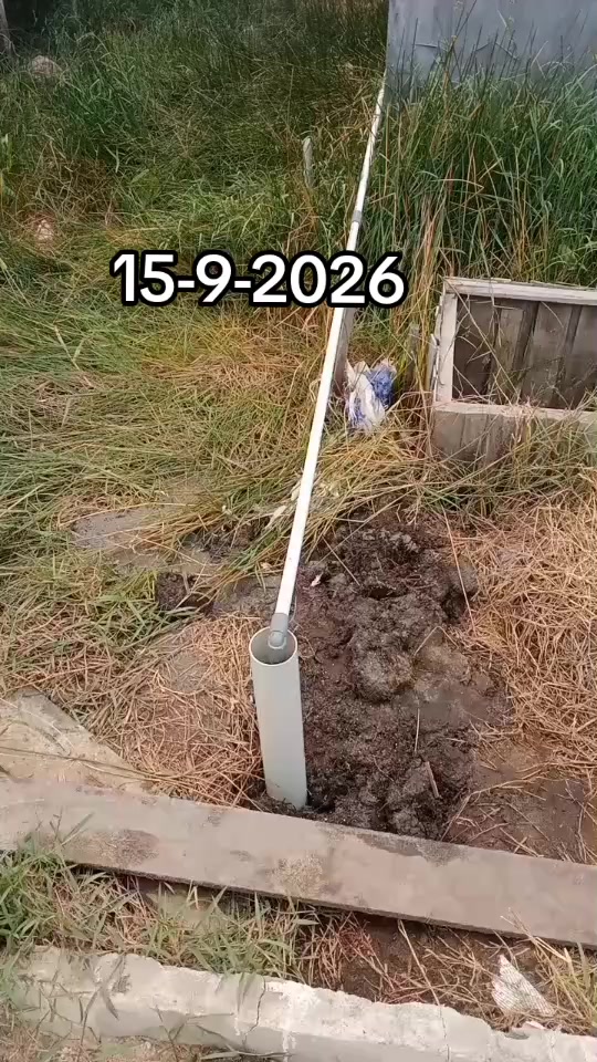 @dedekhimawari91
