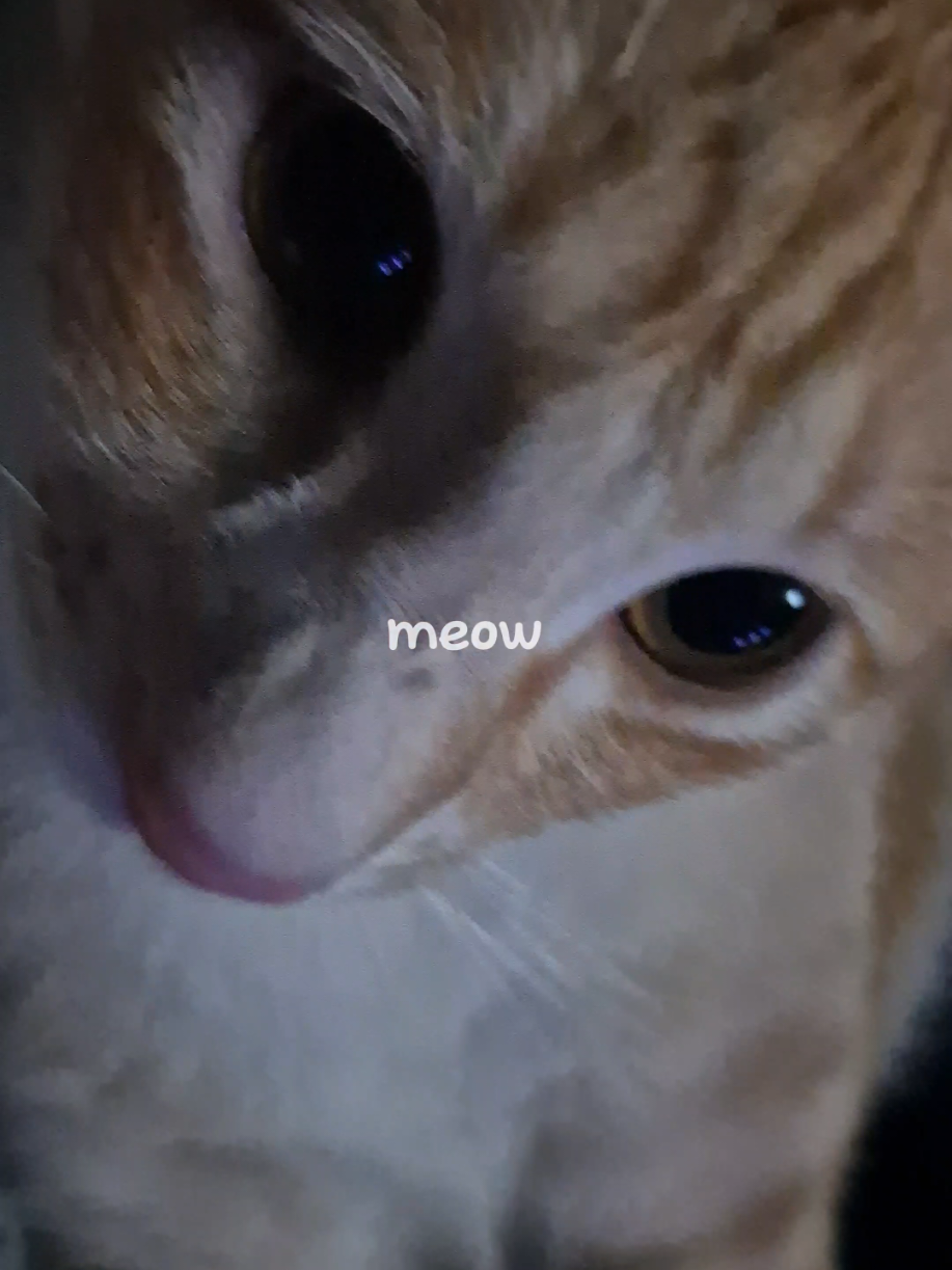 @Juyin