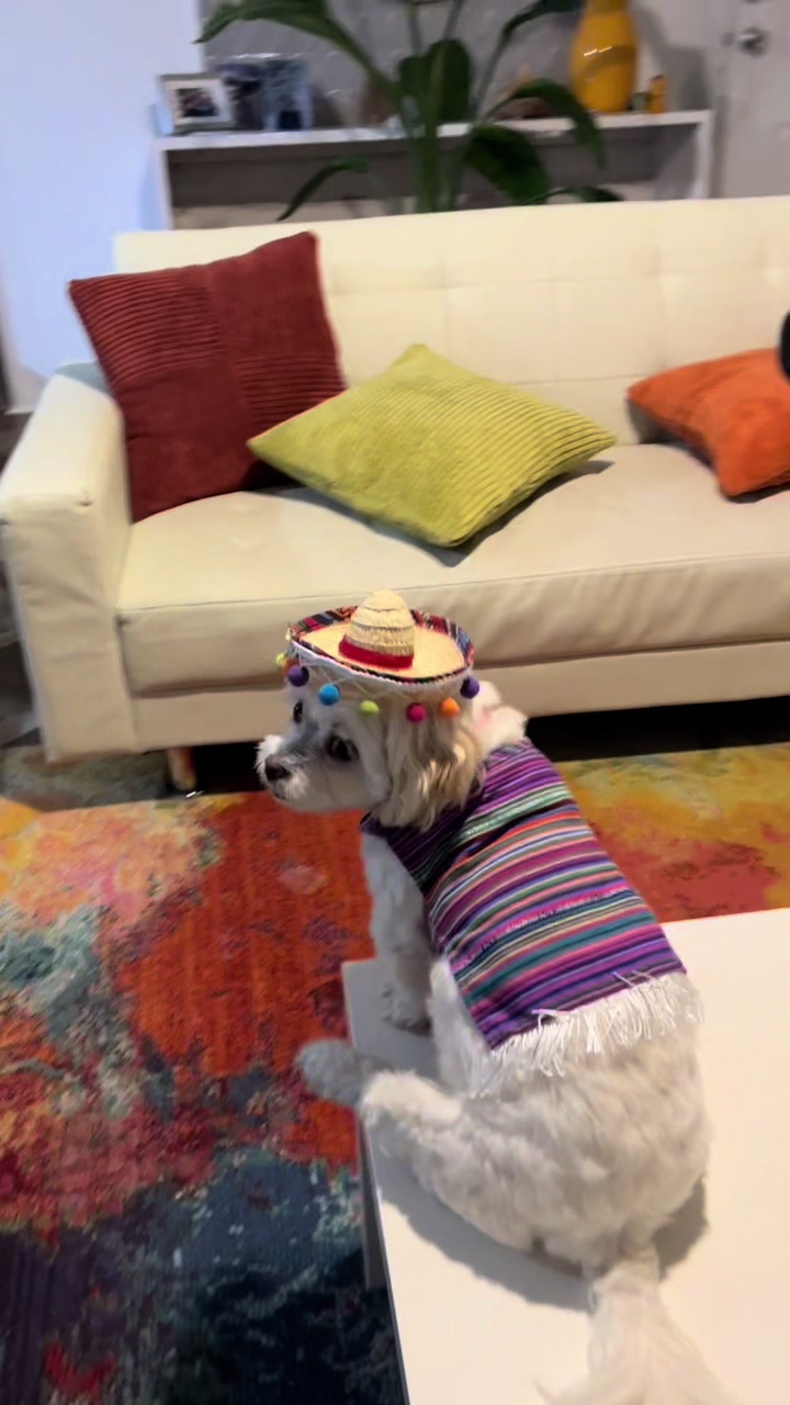 @AZUL🐶🥰