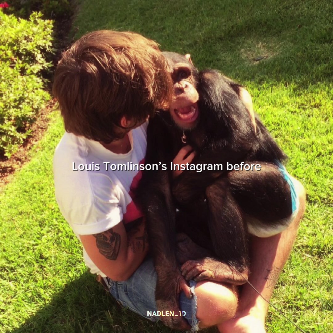 @HOLYDAY1D