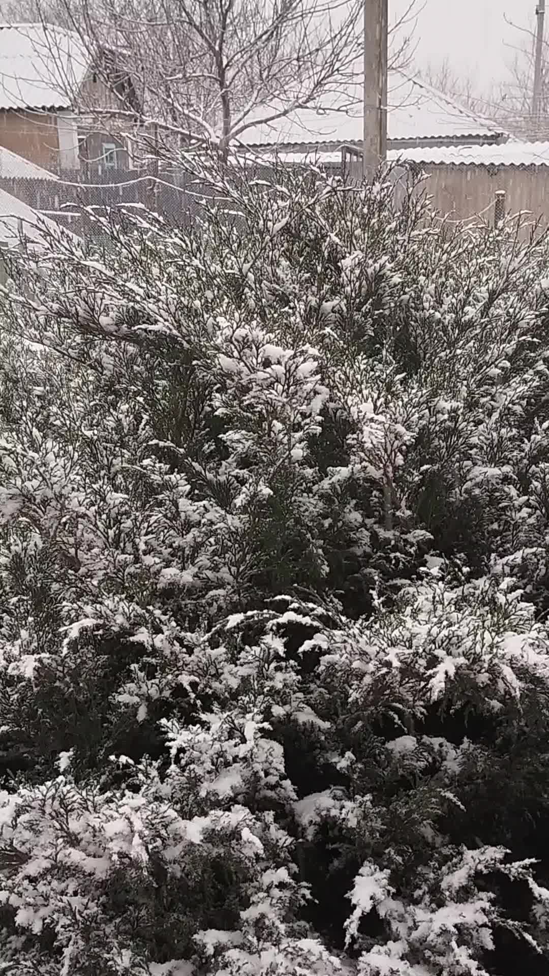 @Лілія🇺🇦