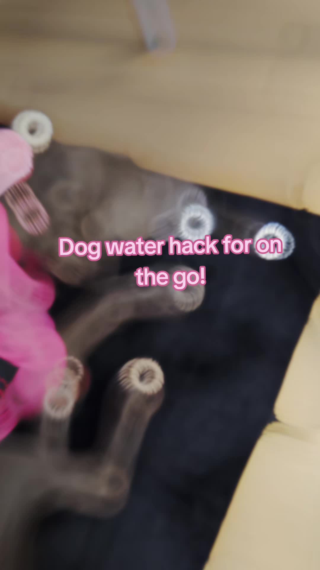 @Fourlow k9