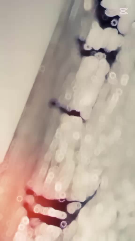 @𝕐𝕌𝕍𝔸ℝ𝔸𝕁 ʏᴜᴠɪ 06
