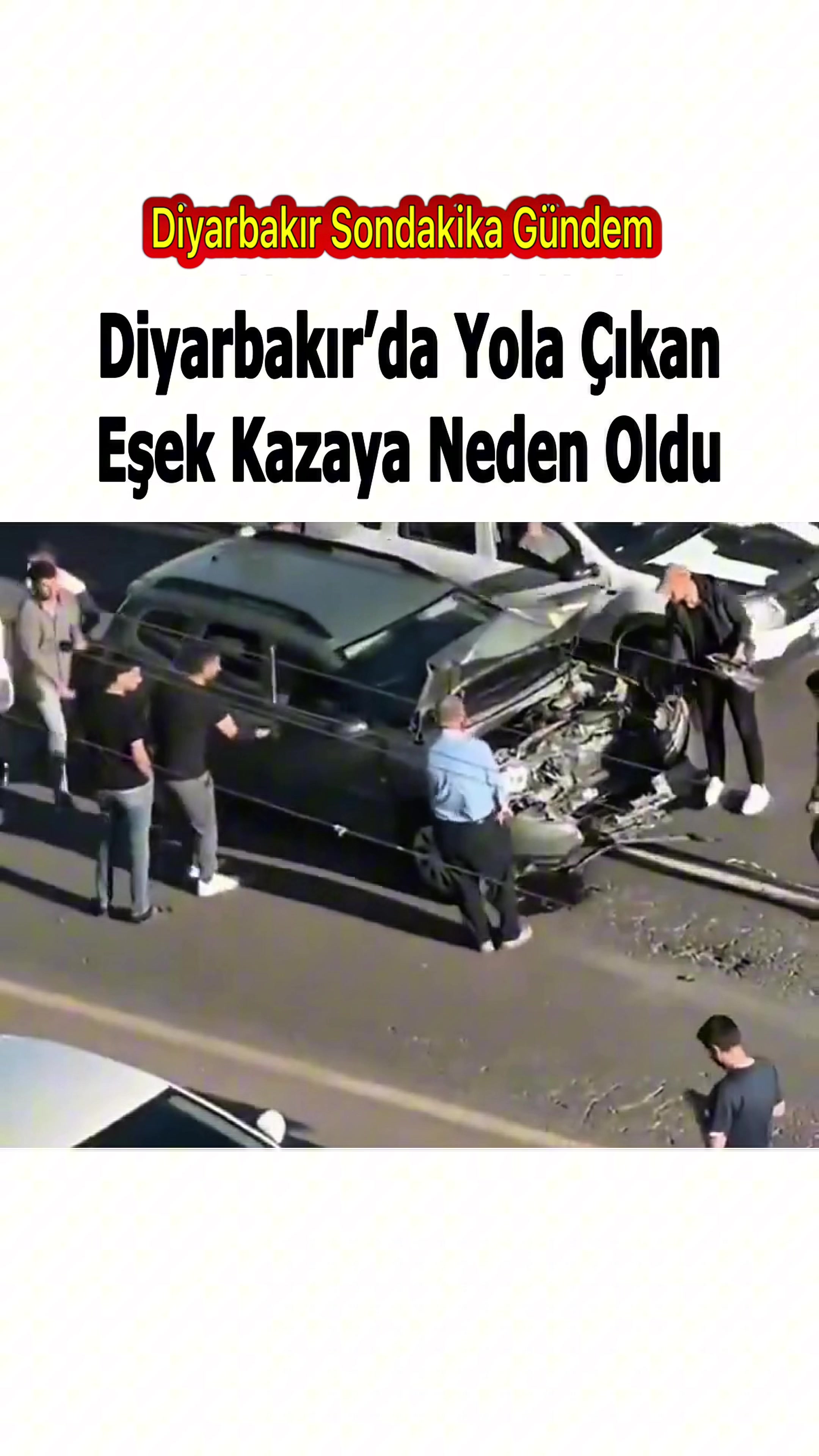 @Diyarbakır Sondakika Gündem