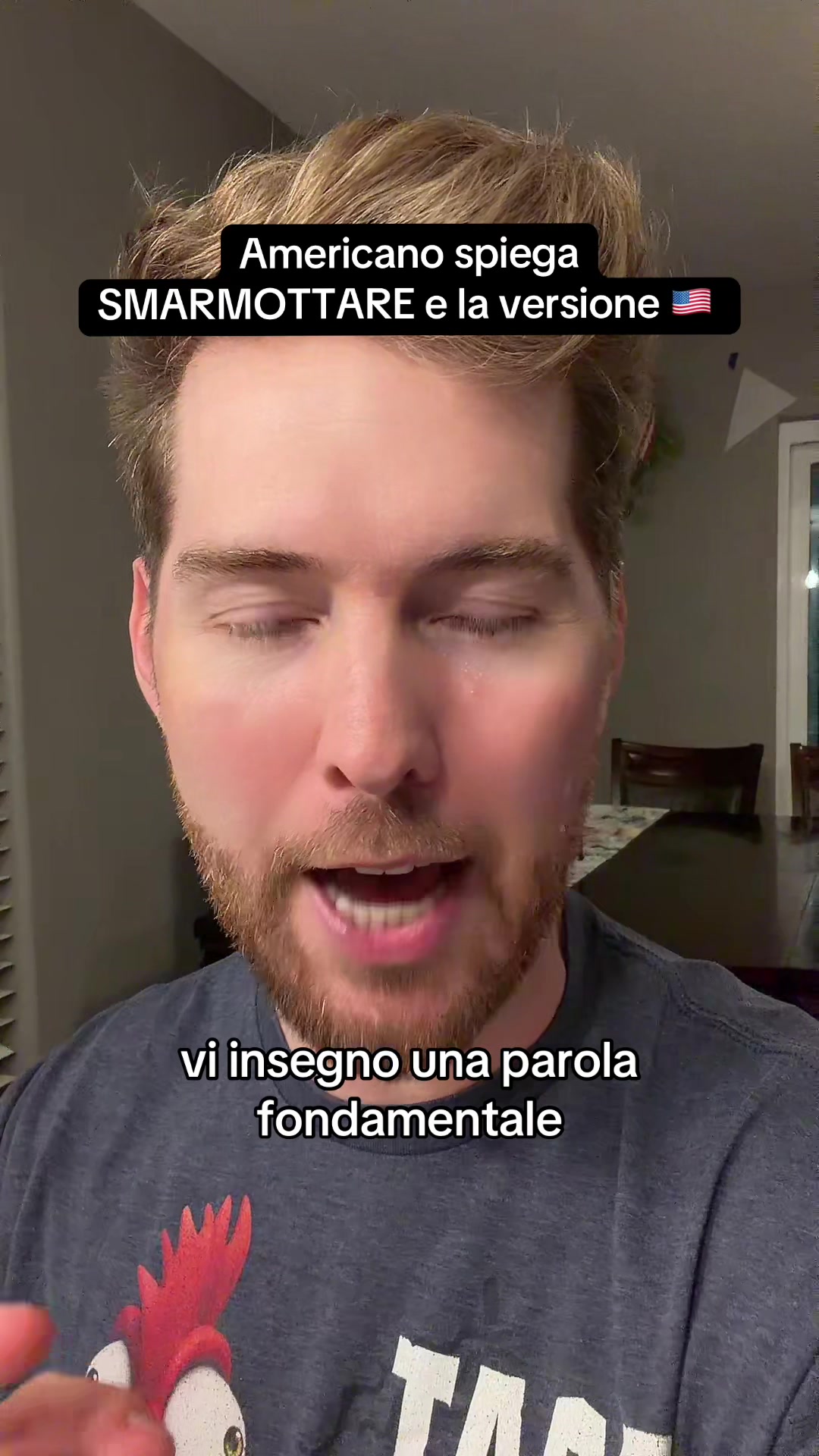 @stevespuntino
