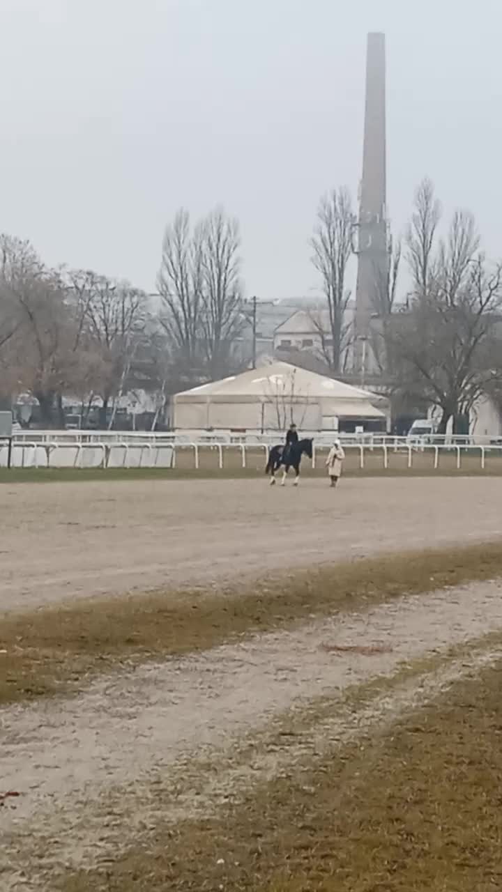 @меги🐎
