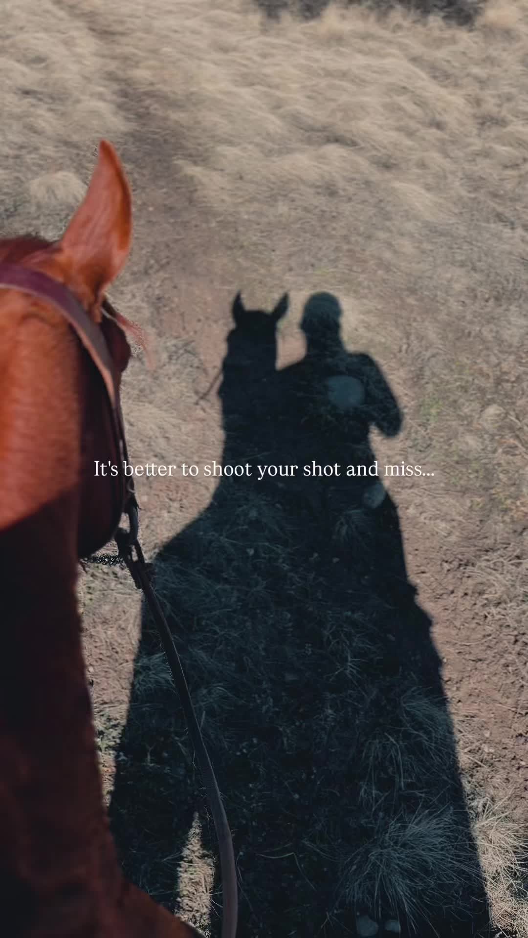 @The Cow Dude