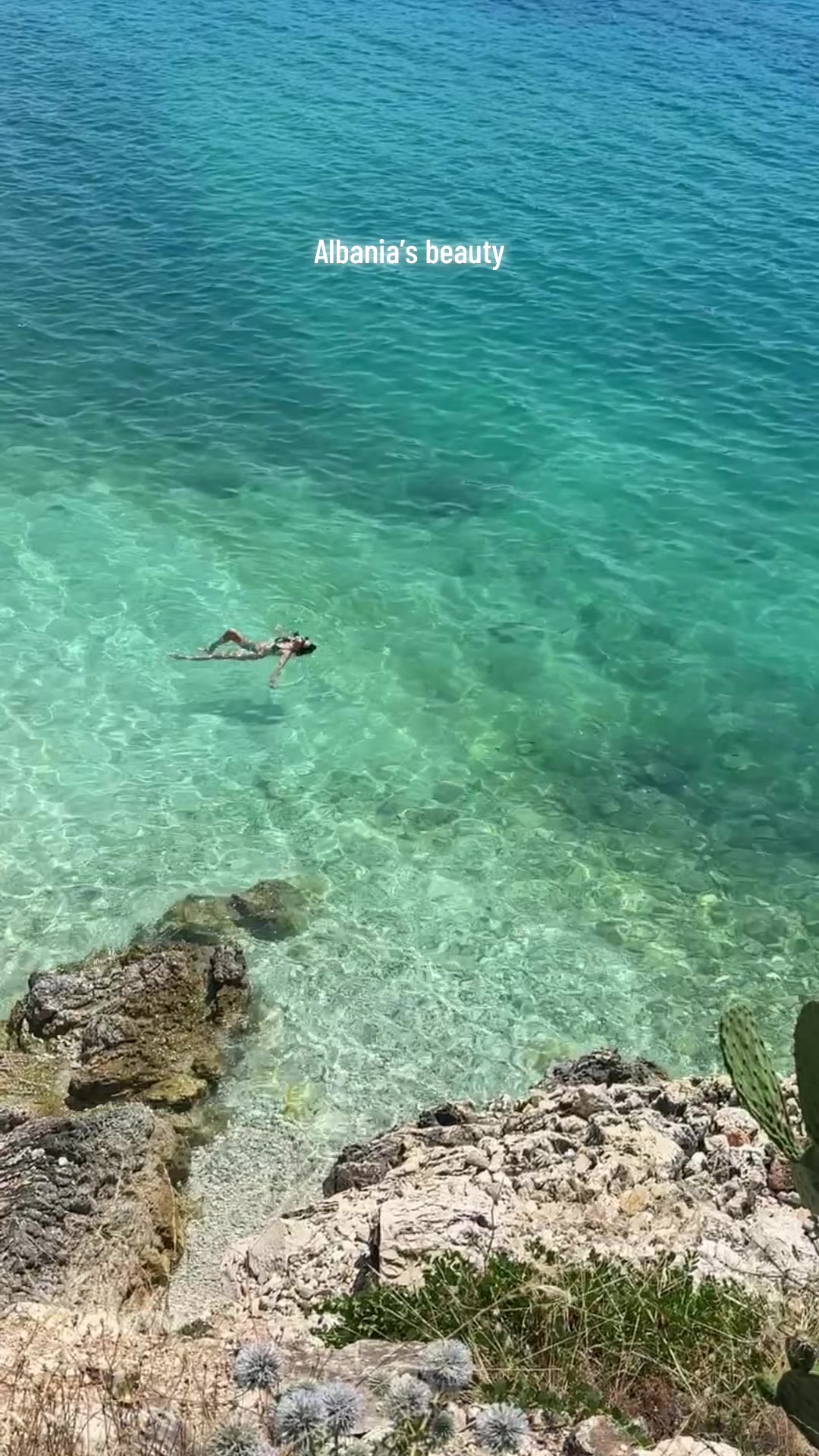 @𝔹𝕝𝕖𝕣𝕥𝕒 🦋