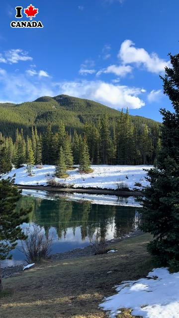 @CANADIAN BANGASH