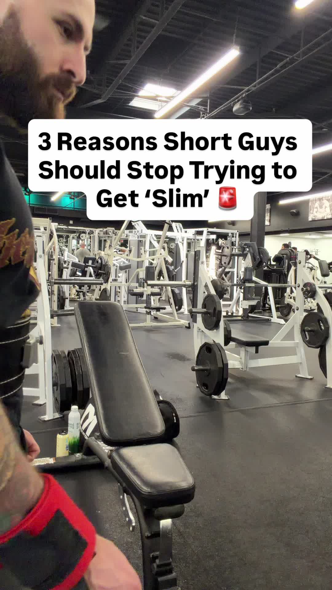 @AwolMuscle