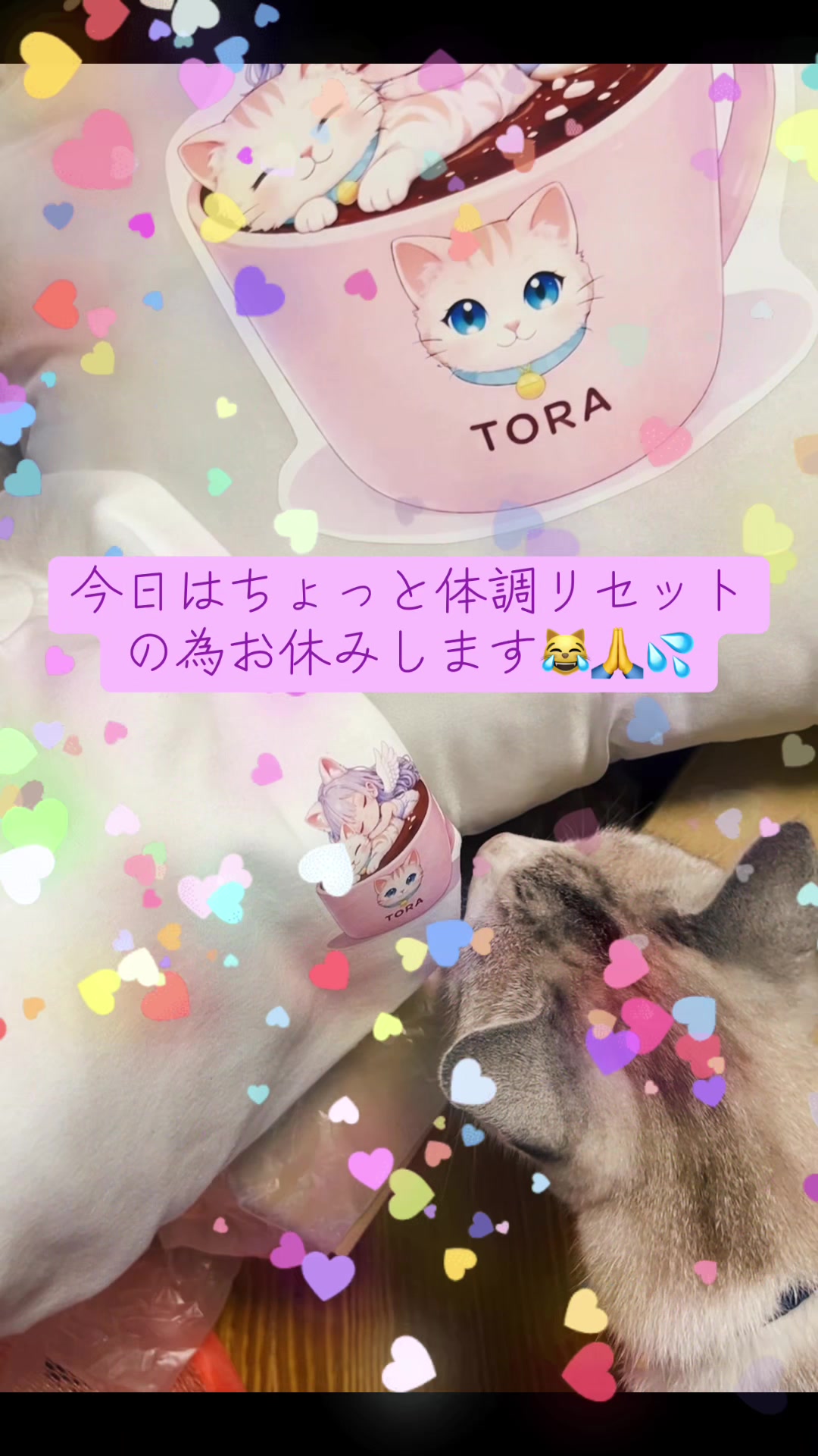 @ねこみみちゃん😸🍰🎀💌💗