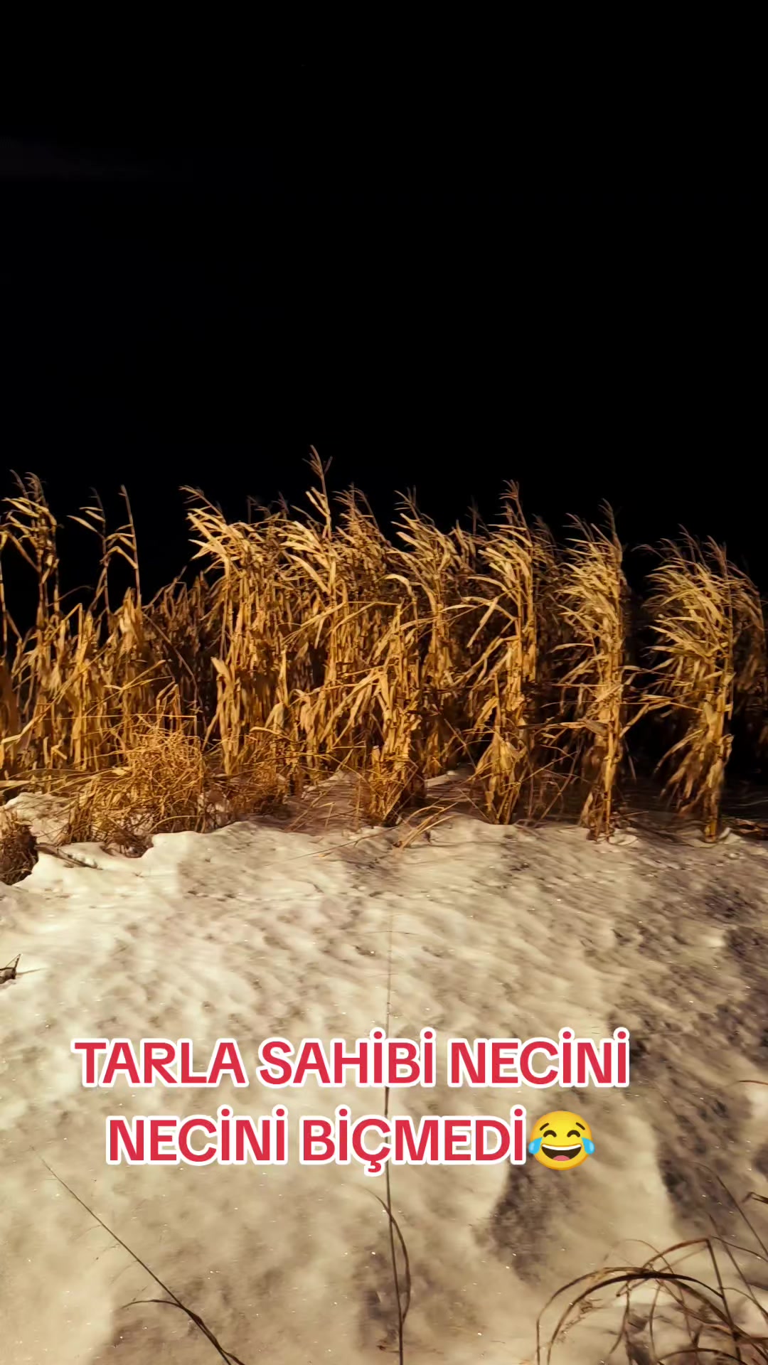 @AHMET BADILLI