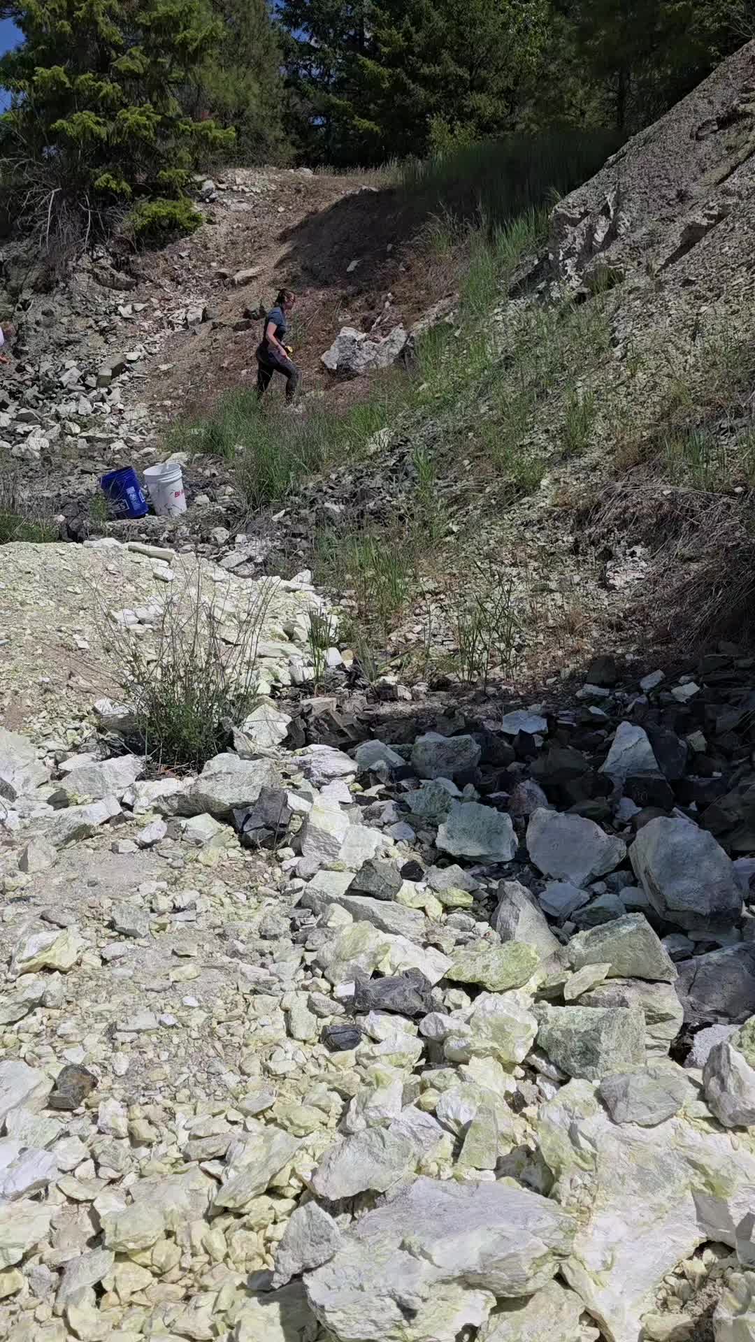 @Bondkinder_PNW