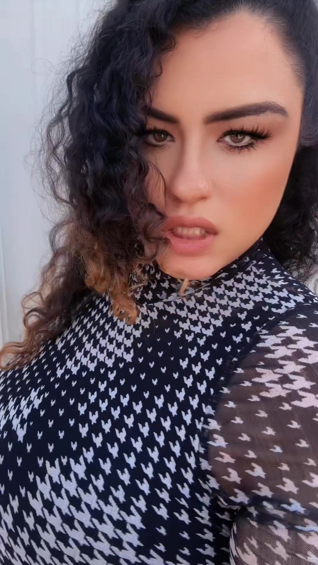 @🇲🇽 MexiCholla 🇲🇽