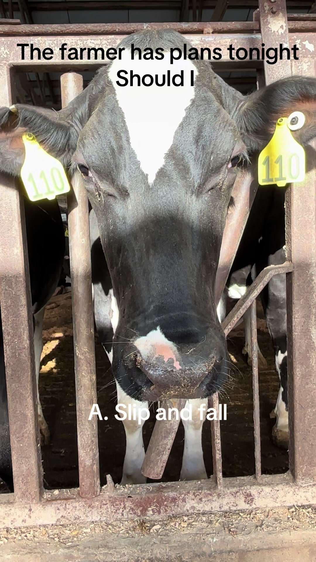 @Pingrey Family Farm LLC