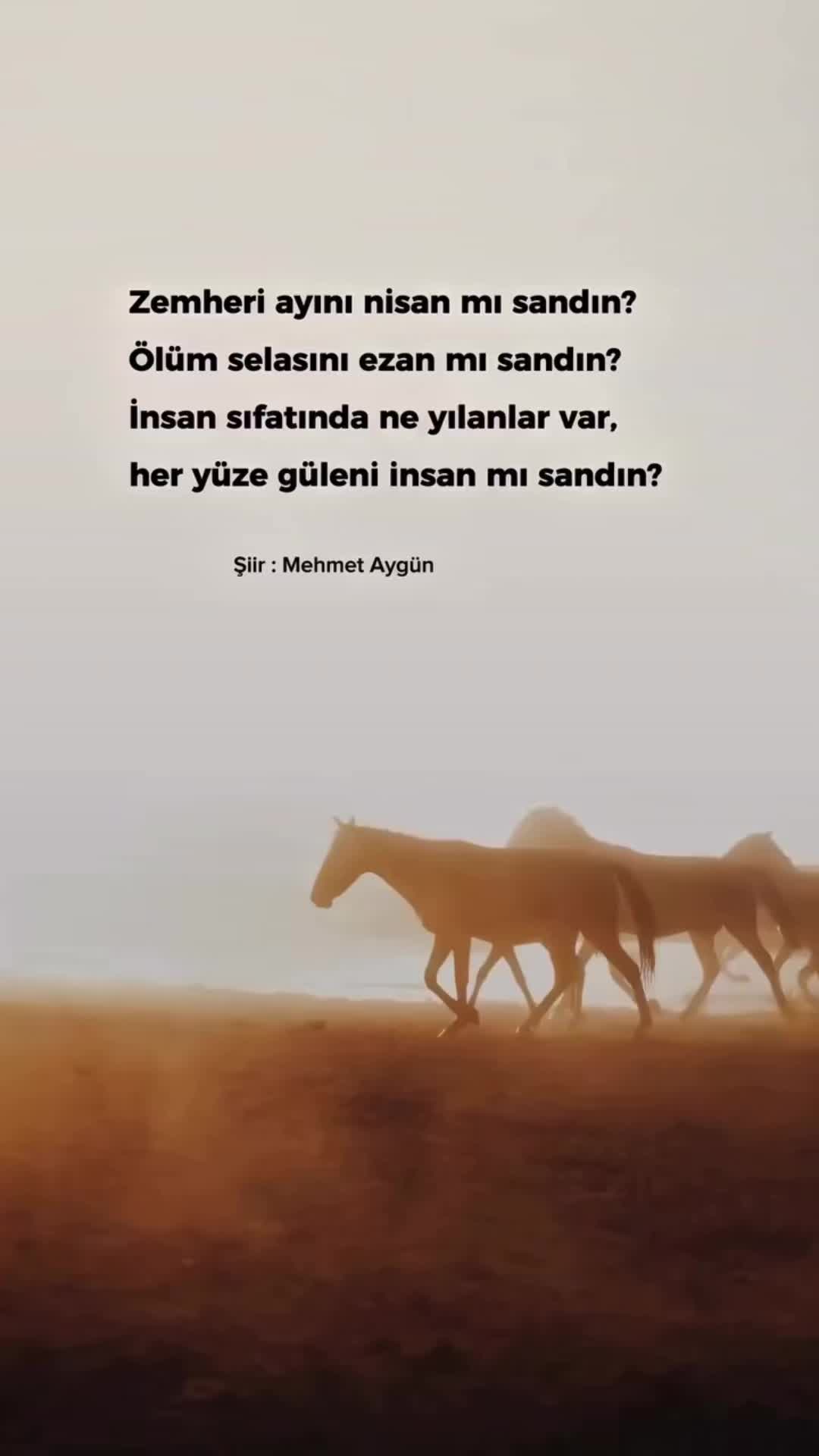 @Mehmet Aygün