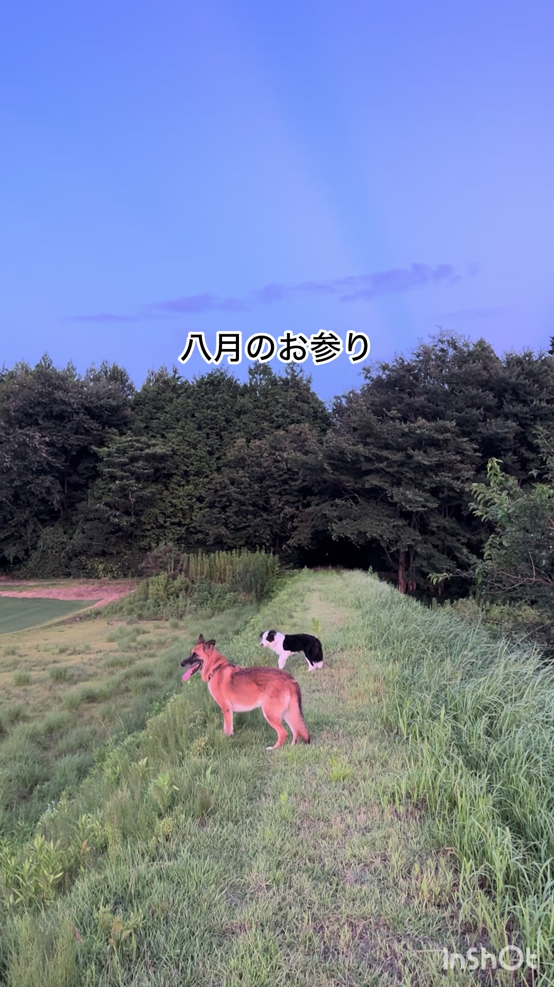 @ミウラ&bull;リョーコ(イーツカ&bull;リョーコ)