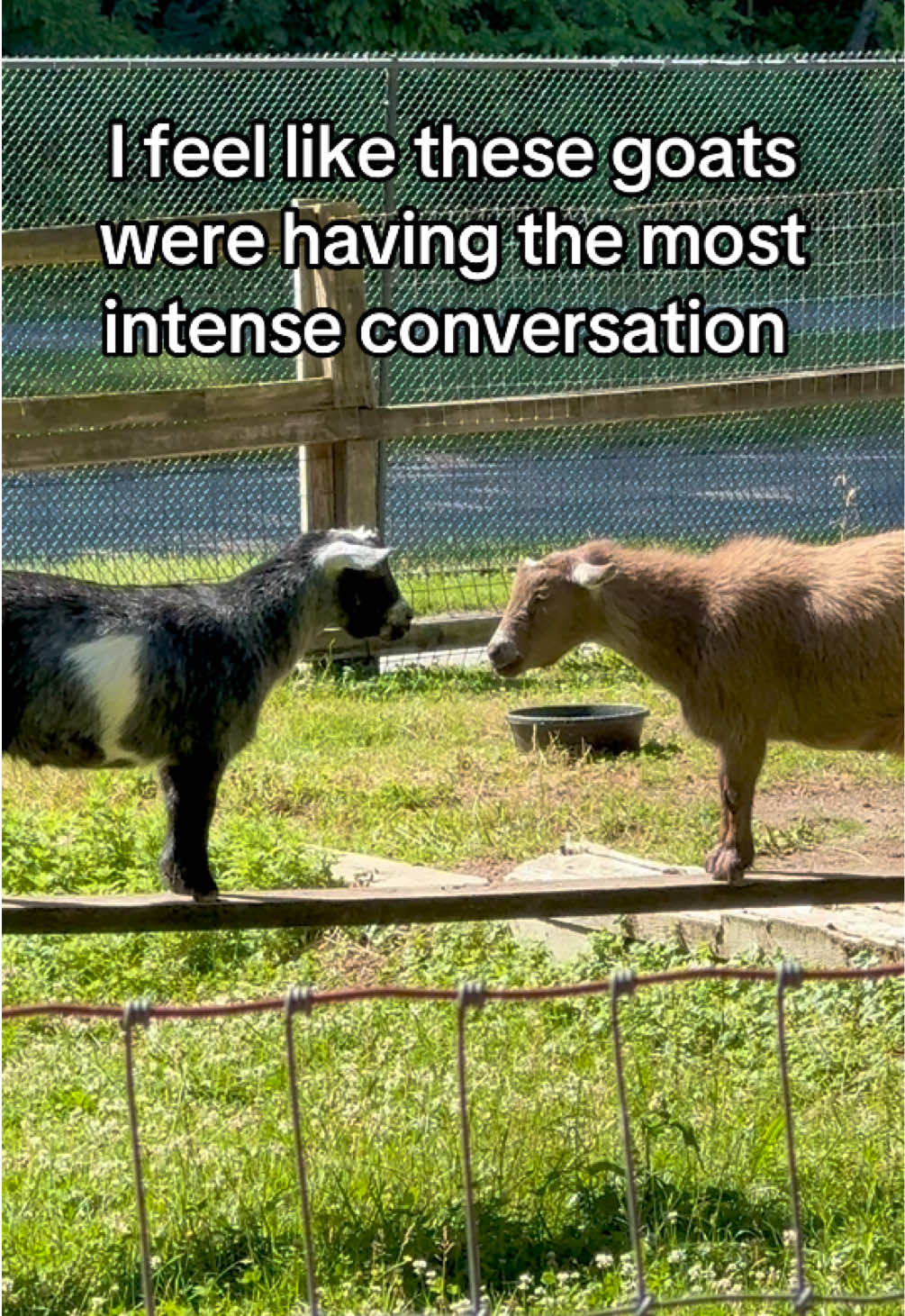 @Sarah Mushenheim