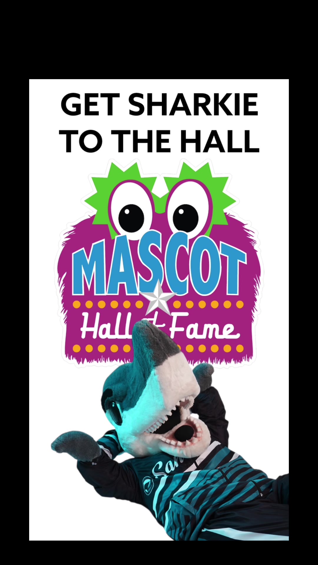 @SJ SHARKIE