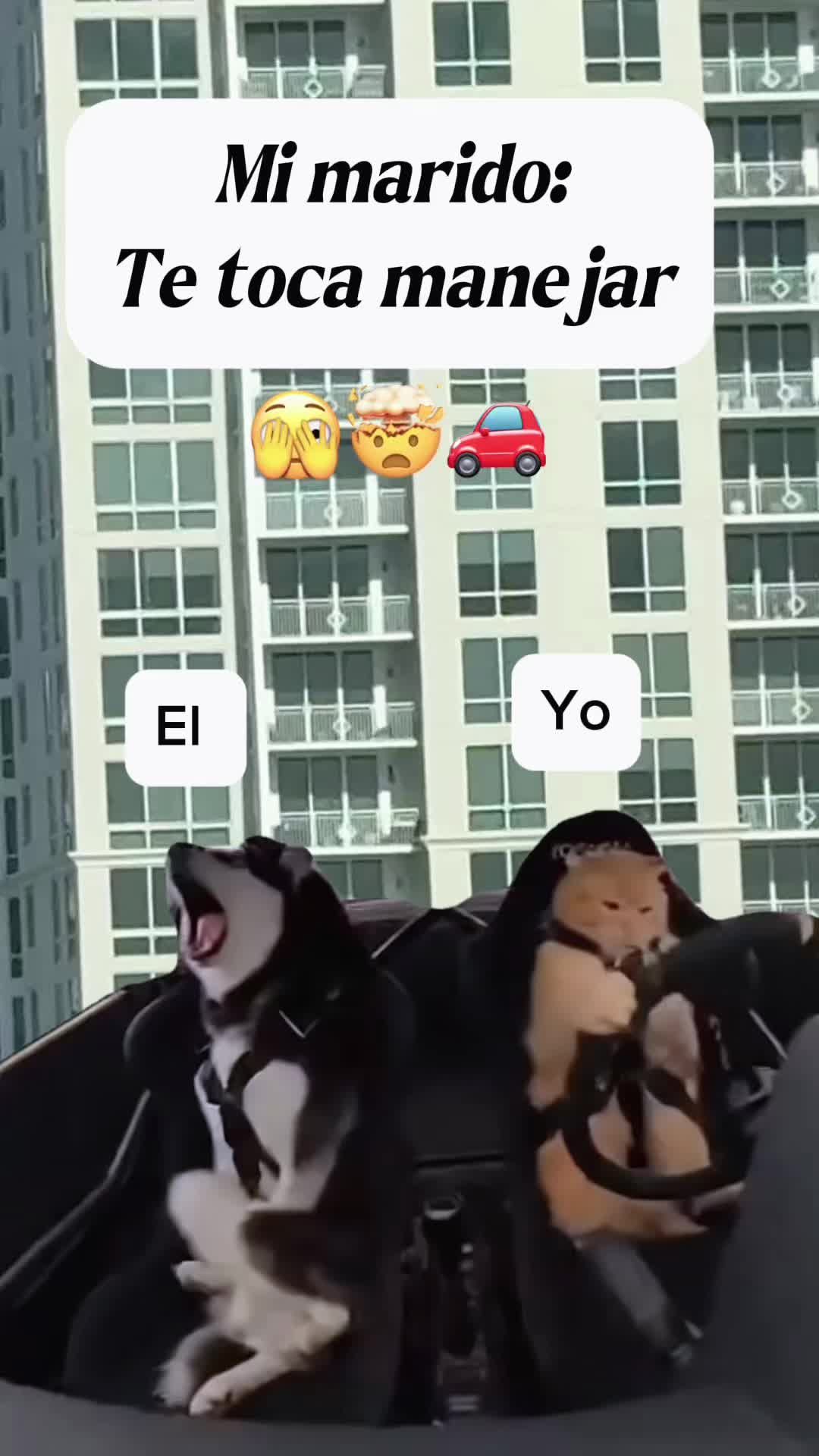 @Gabyve