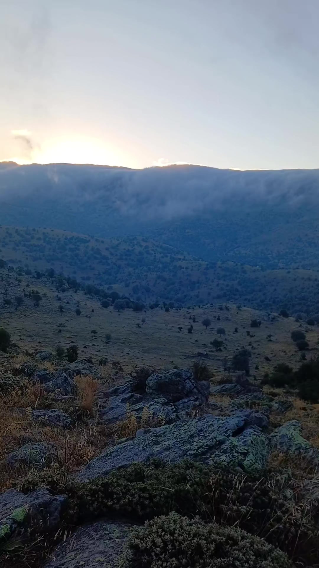 @Deli Çoban 42