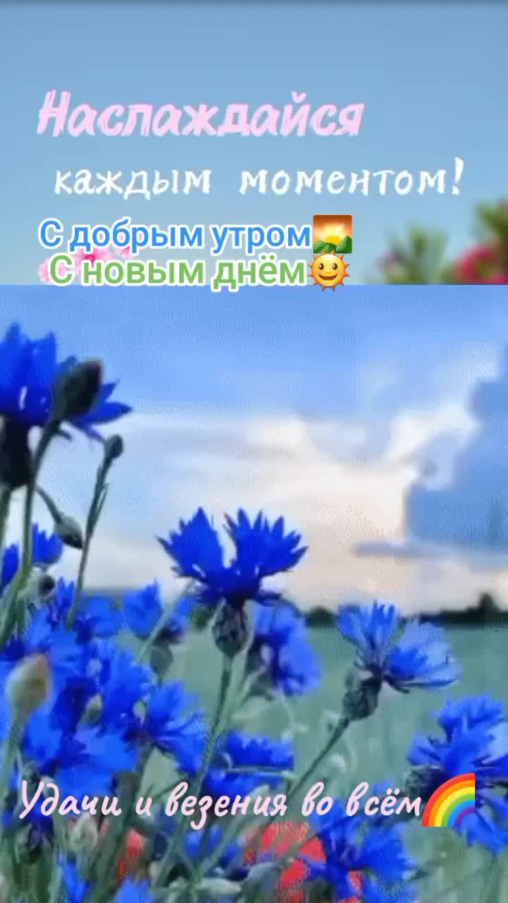 @Танюша