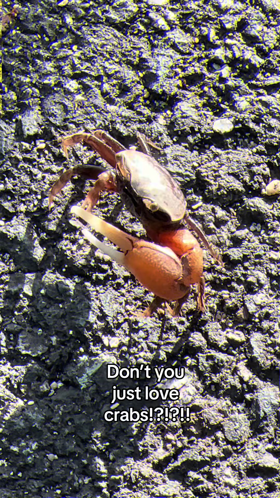 @𝔾𝕚𝕕𝕖𝕠𝕟 𝕆𝕧𝕒𝕕𝕪𝕒𝕙𝕦
