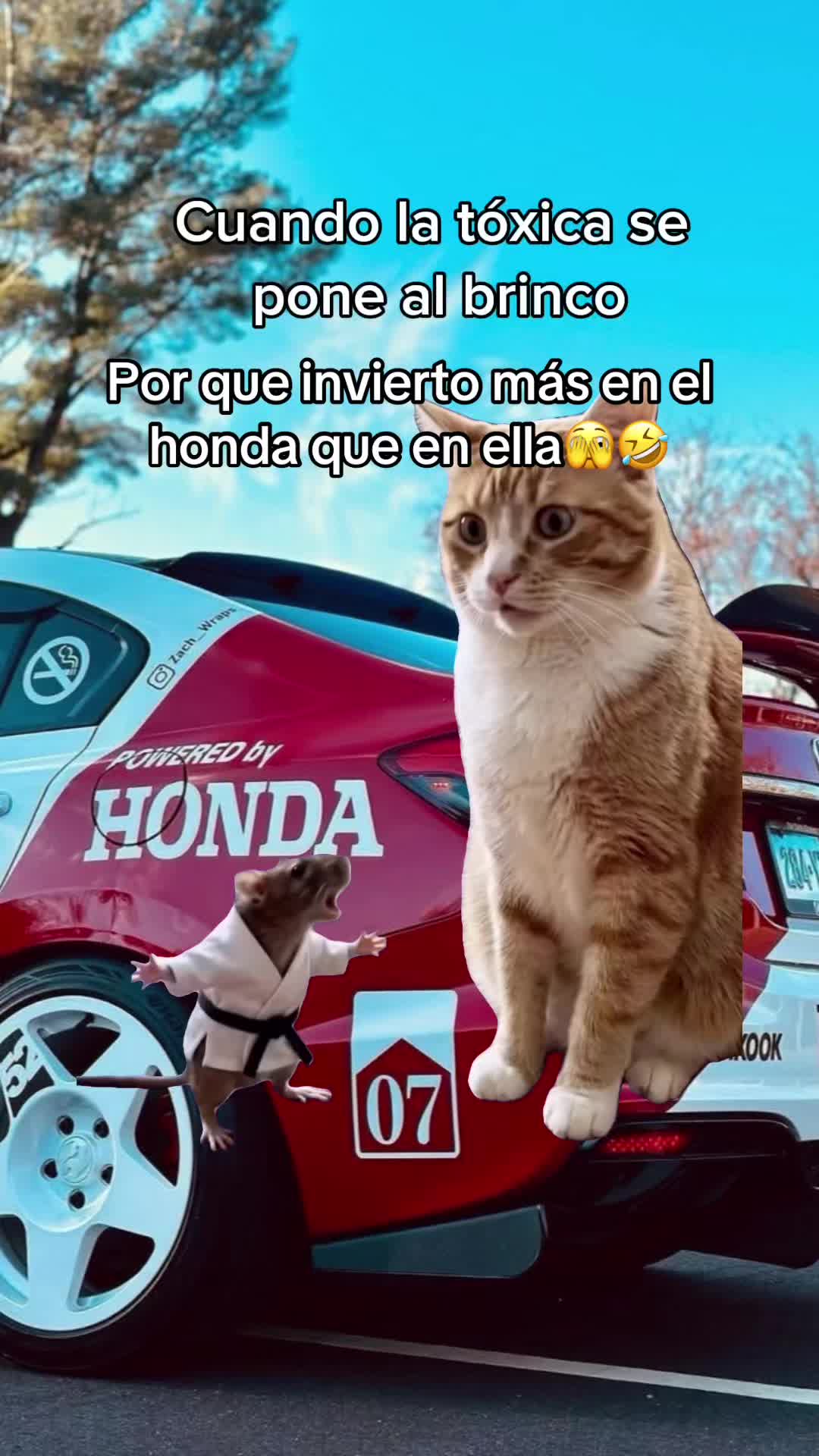 @Velasquez1207 Oficial