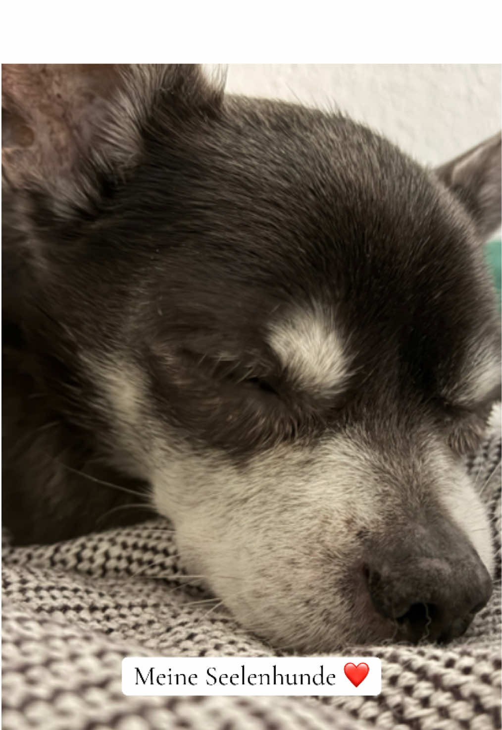@Soulistas.Tierliebe