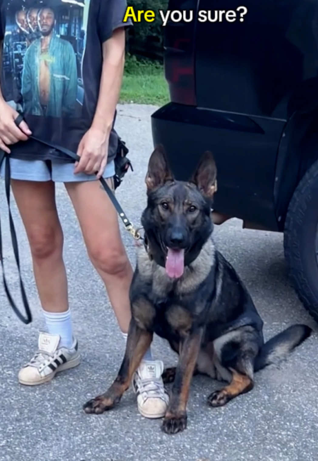 @True Guard K9 I Tara